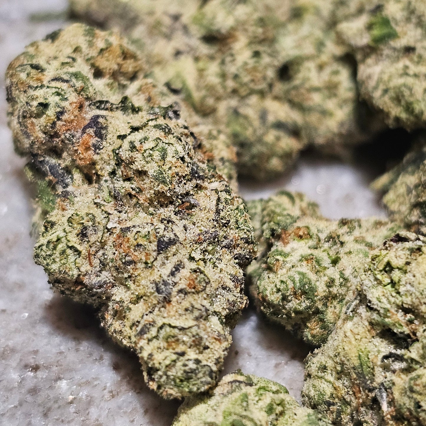 BLACK DIESEL GELATO 38.2% Thca