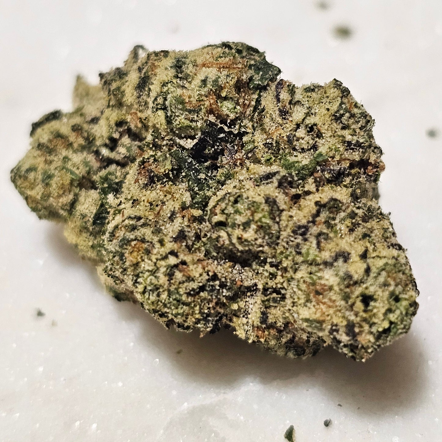 BLACK DIESEL GELATO 38.2% Thca