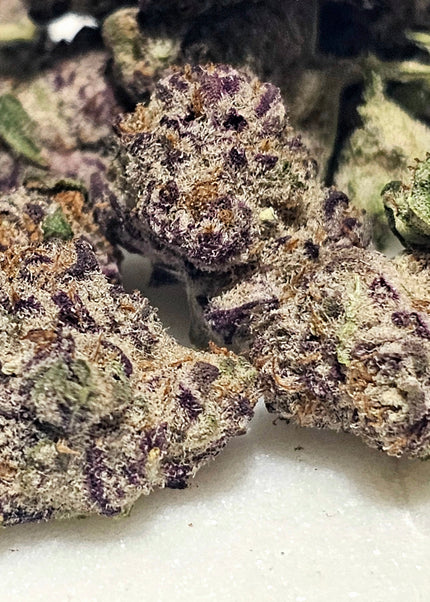 Runtz Punch 31% THCa SMALLS