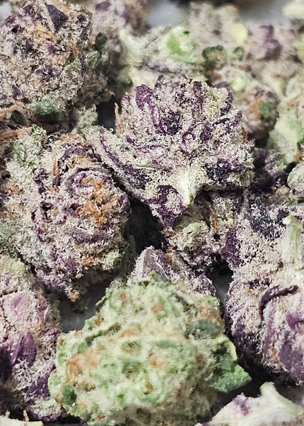 Runtz Punch 31% THCa SMALLS