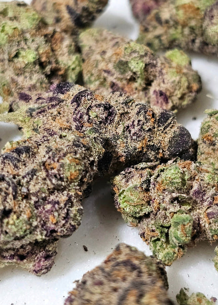 Glitter Bomb 38% THCa Mediums