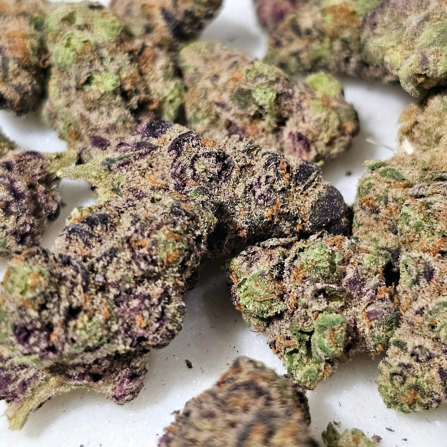 Glitter Bomb 38% THCa Mediums