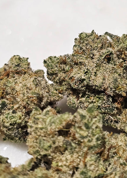 Blackberry Moonshine 31% THCa Mediums