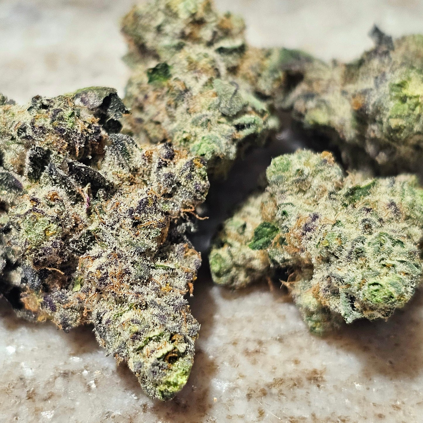 True Exotic RARE STRAIN Mix & Match 1/2OZ PACK