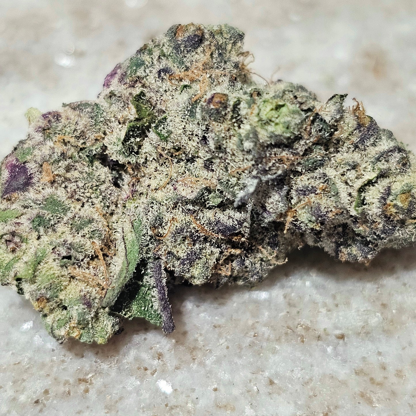 True Exotic RARE STRAIN Mix & Match 1/2OZ PACK
