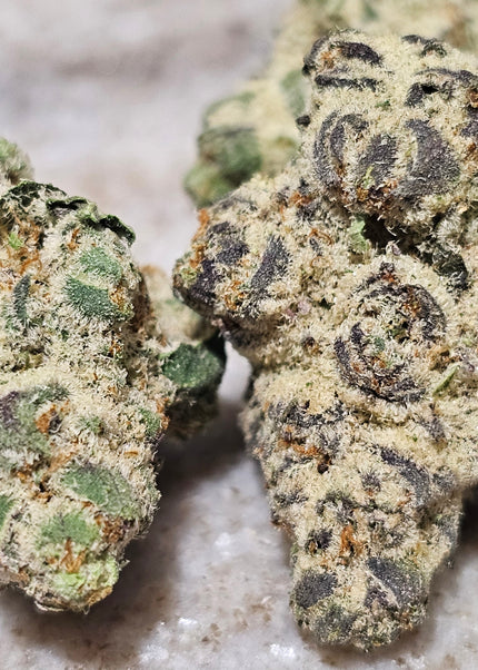 BLACK GORILLA GELATO GLUE 34% Thca