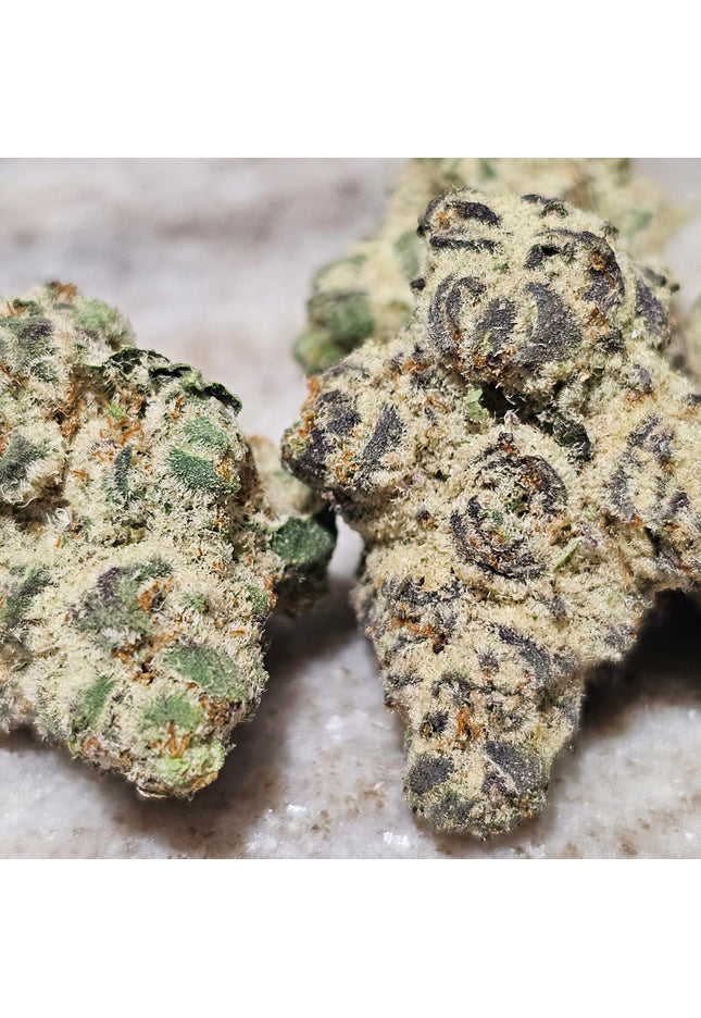 BLACK GORILLA GELATO GLUE 34% Thca