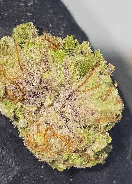 Orange Creamcicle 28% THCa Bulk