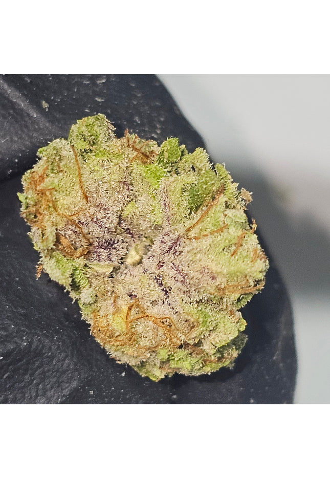 Orange Creamcicle 28% THCa