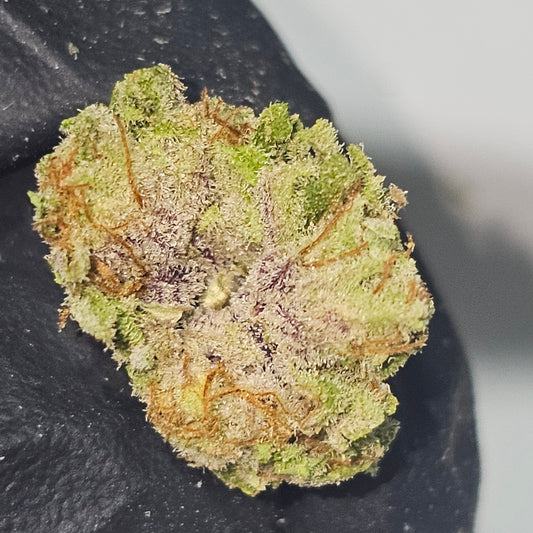 Orange Creamcicle 28% THCa