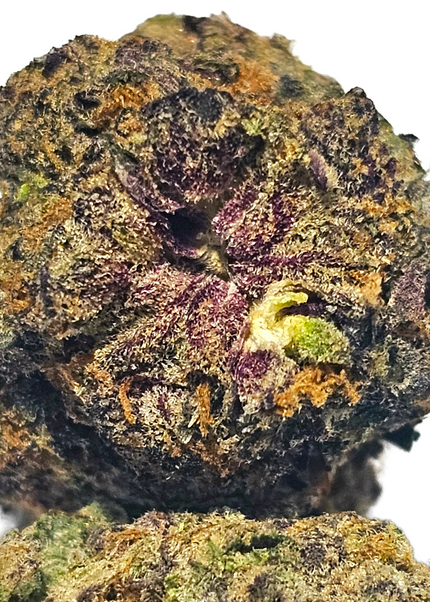 Bloc Party 33% THCa
