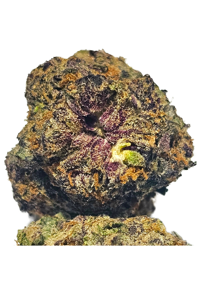 Bloc Party 33% THCa