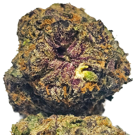 Bloc Party 33% THCa