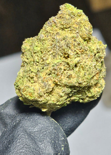 Jokerz 29% Thca