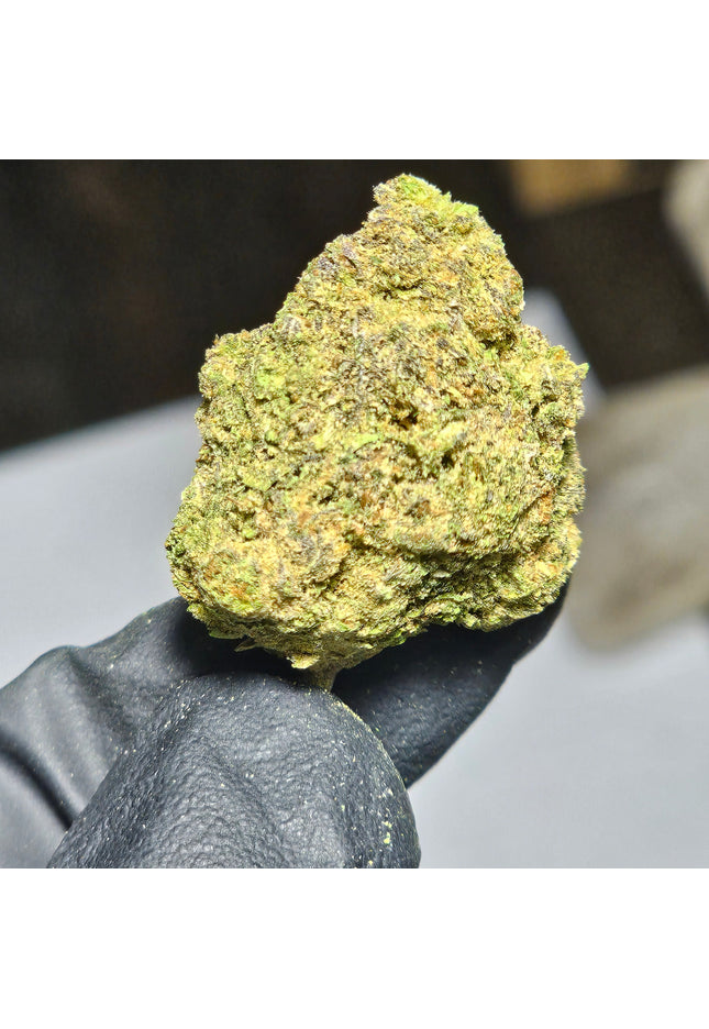 Jokerz 29% Thca