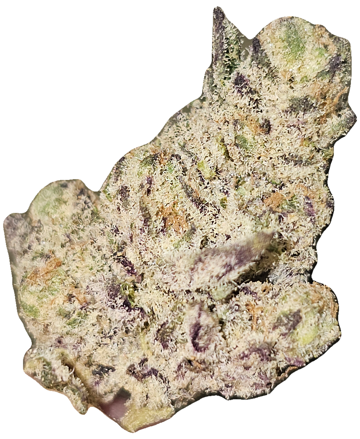 True Exotic  Mix & Match 4 OZ PACK
