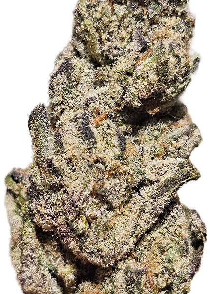 Garlic Icing 34% THCa