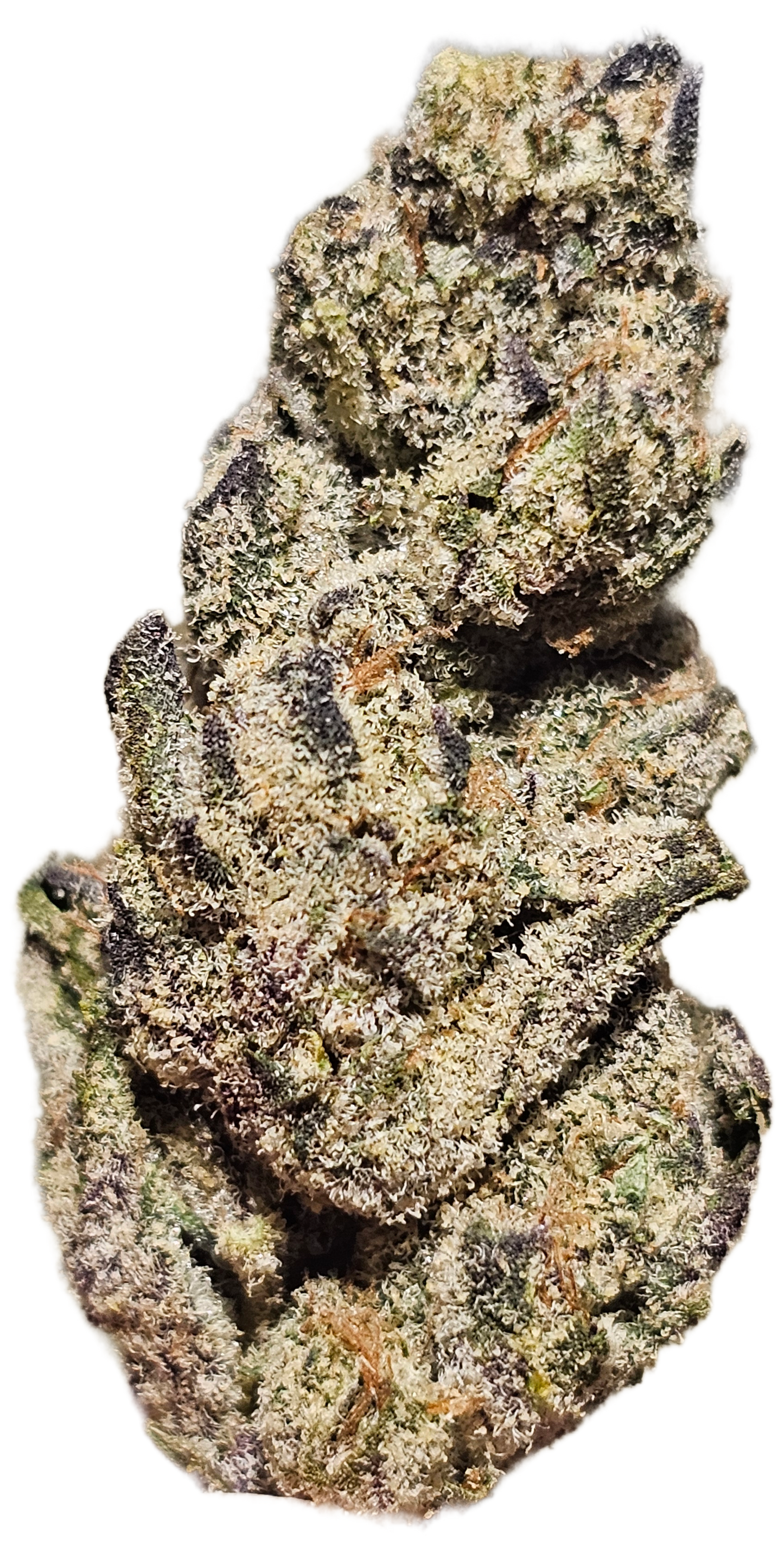 Garlic Icing 34% THCa