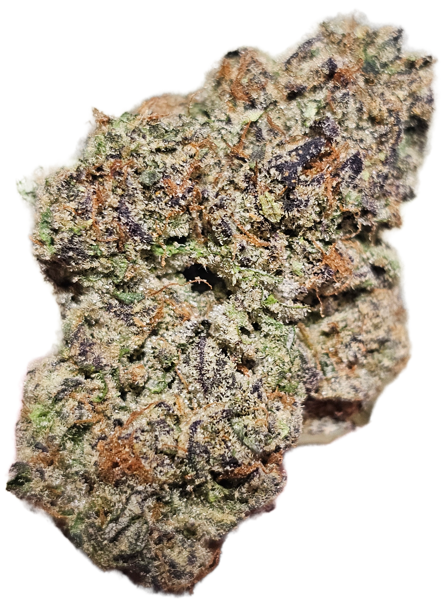True Exotic  Mix & Match 4 OZ PACK