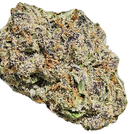 Sunset Sherbet 31% THCa
