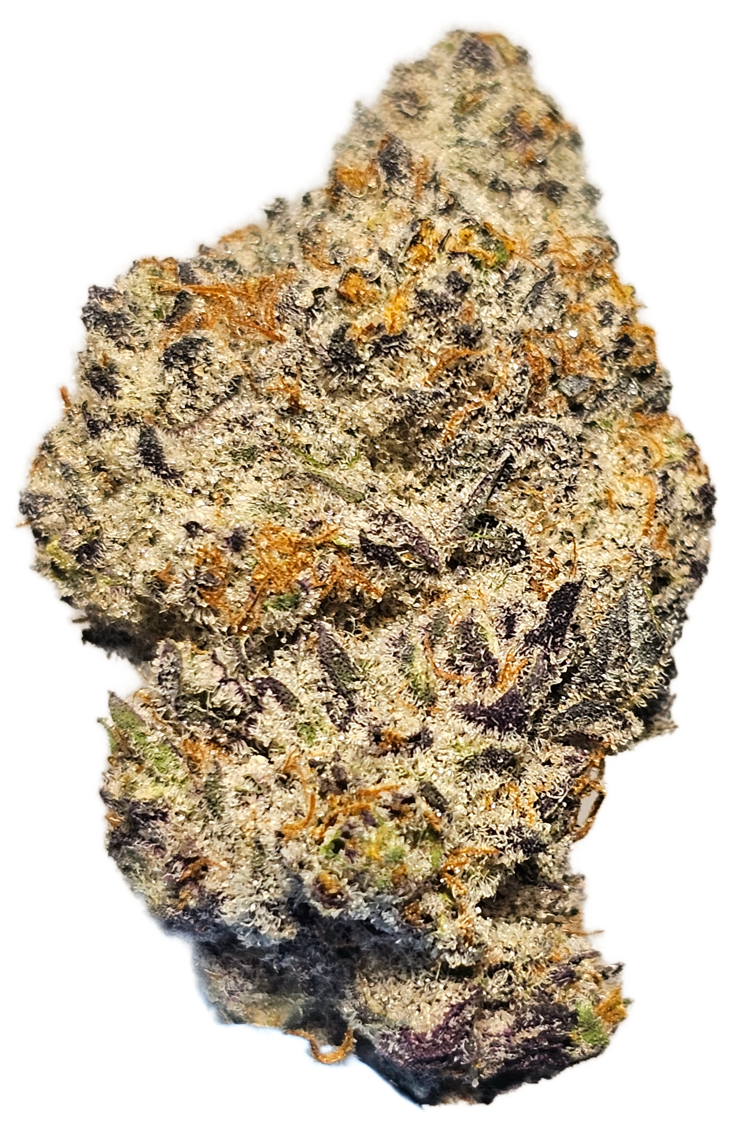 White Truffle 31% THCa Mediums