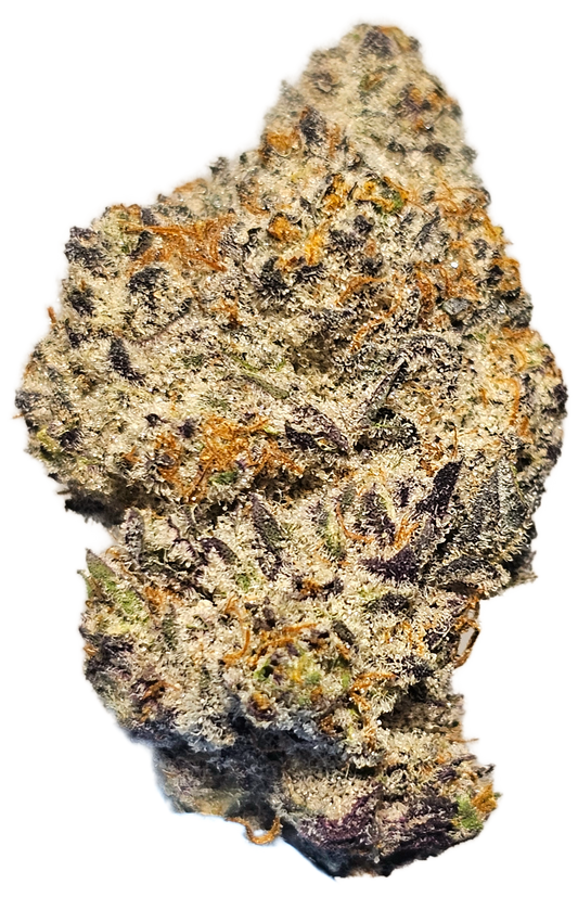 White Truffle 31% THCa Mediums