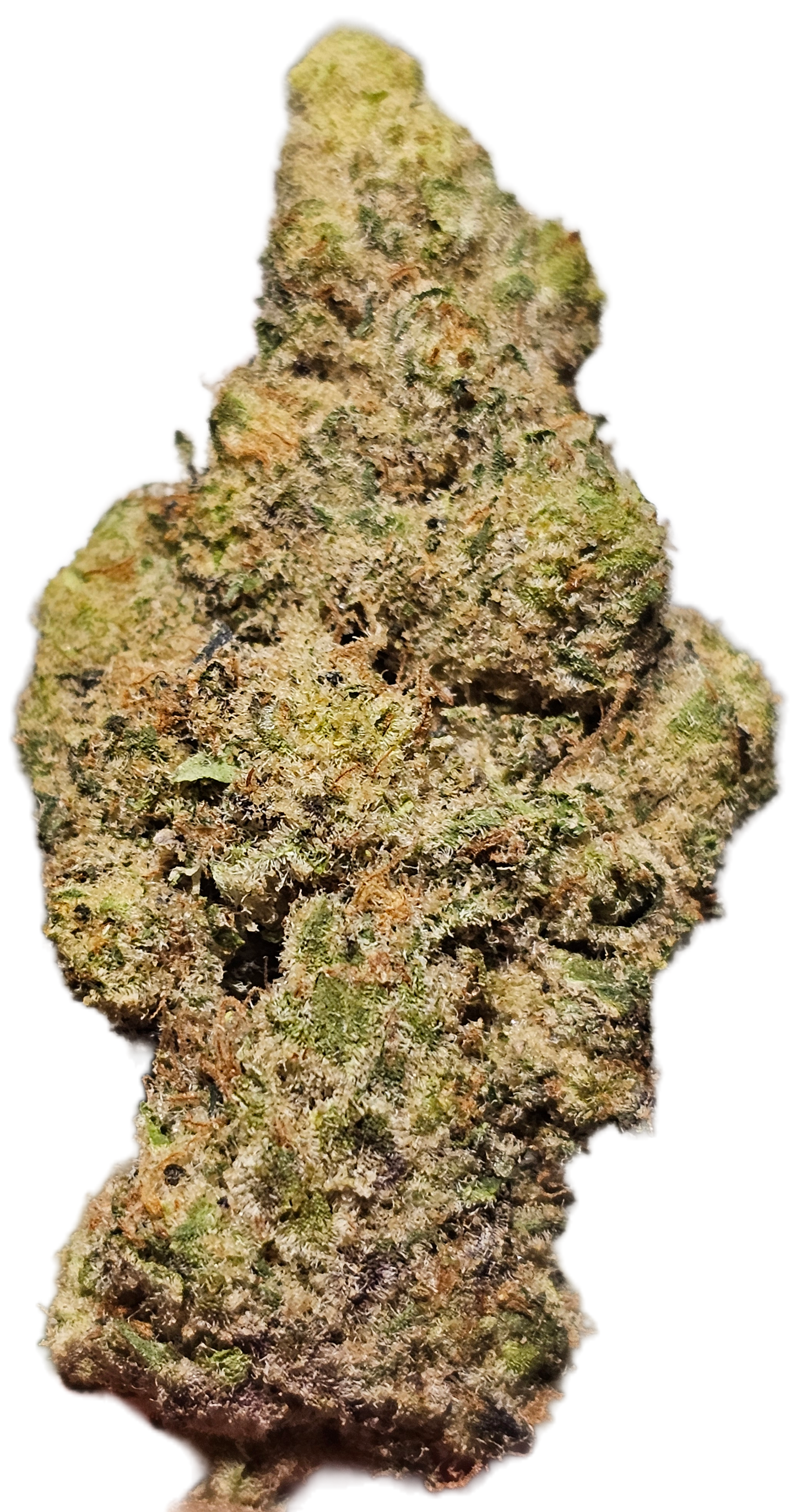 Peanut Butter Milkshake 34% THCa