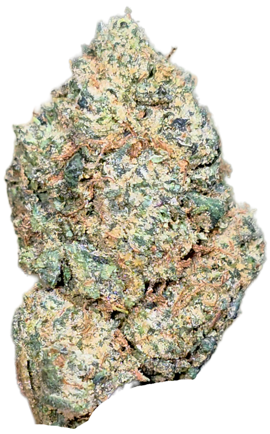 Biscotti 35% Mediums