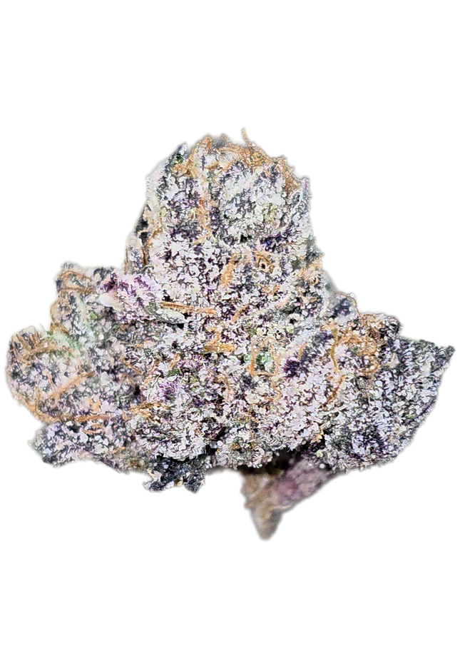 Blueberry Muffin 35% THCA Mediums