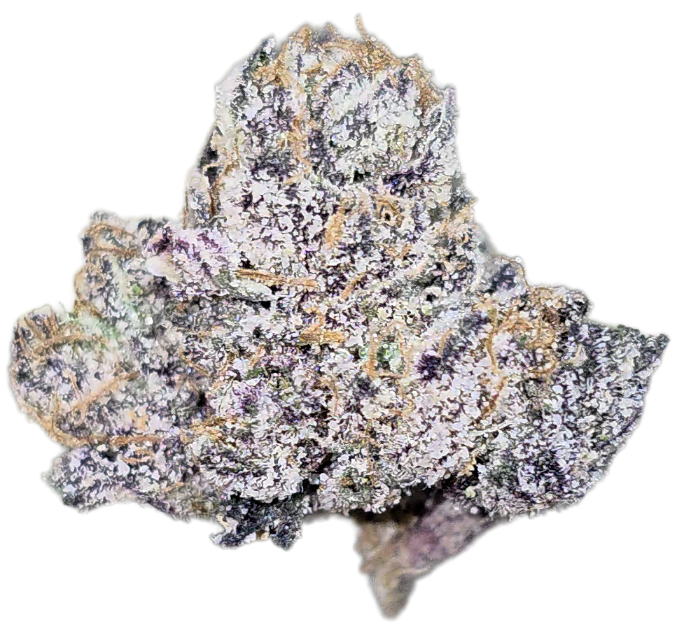 Blueberry Muffin 35% THCA Mediums