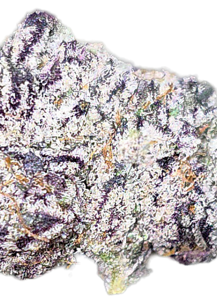 Blue Suede Zkittles 35% Small