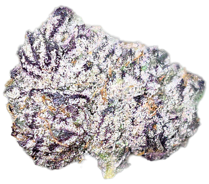 Blue Suede Zkittles 35% Small