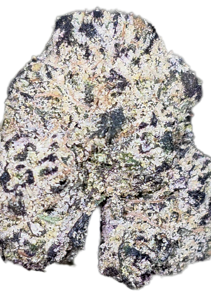 Texada Time Warp Medium 35% Thca (RARE)