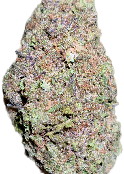 Hippie Crippler 33% THCA