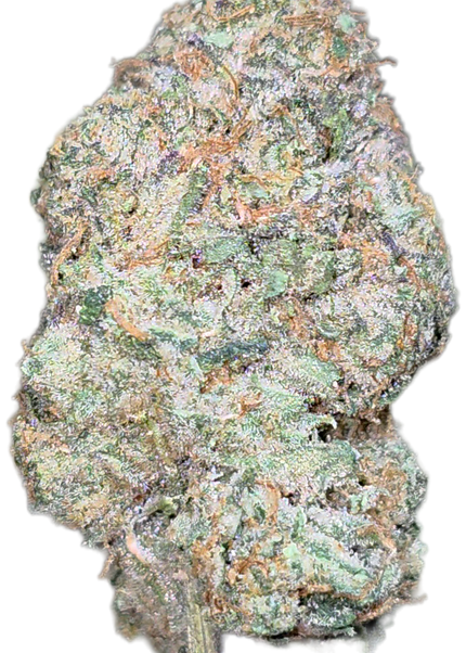 Green Poison 35% THCA Bulk