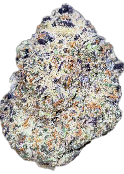 Northern Lights 33%