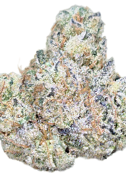 Pitbull Med/Sm Mix 35% Thca