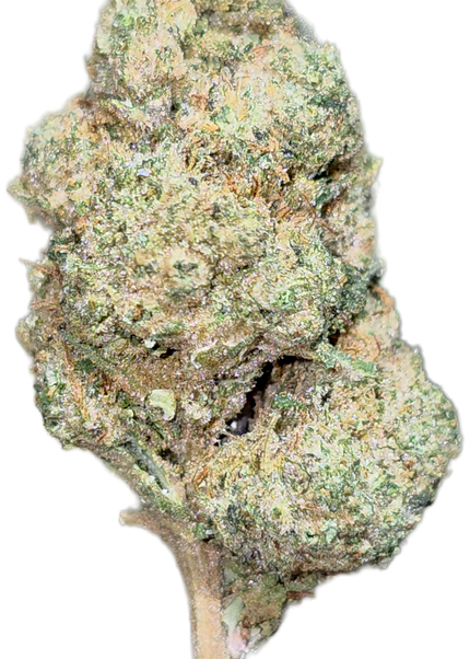 Zkittles 32% Standard/Medium Mix Bulk