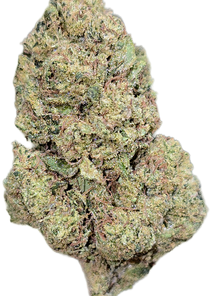 Hells Angel Og 34%  Thca