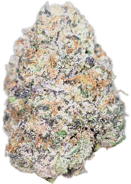 Falcon 9 36% Thca Bulk