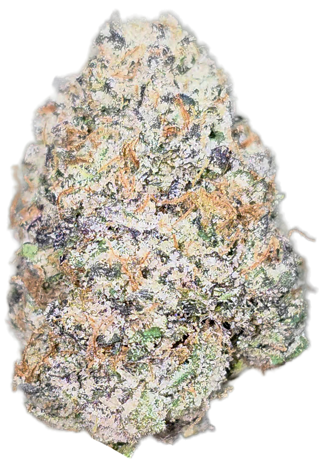 Falcon 9 36% Thca