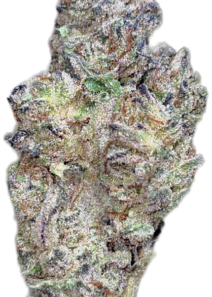 Tropicana 32% Thca  (RARE Strain) Bulk