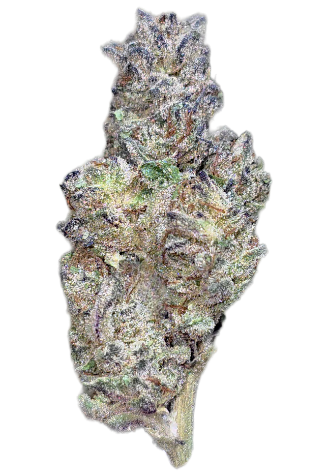 Tropicana 32% Thca  (RARE Strain) Bulk