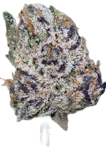 Ice Cream Cake Med/SM Mix 36% Thca