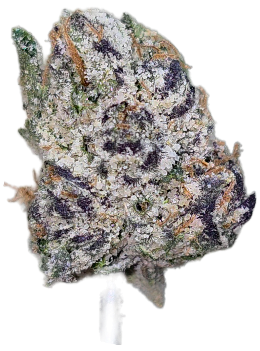 Ice Cream Cake Med/SM Mix 36% Thca