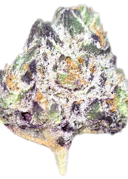 White Truffle 34% THCa Smalls