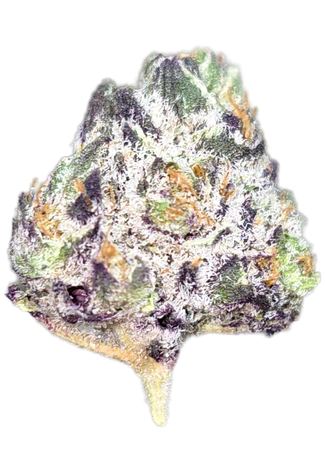 White Truffle 34% THCa Smalls Bulk