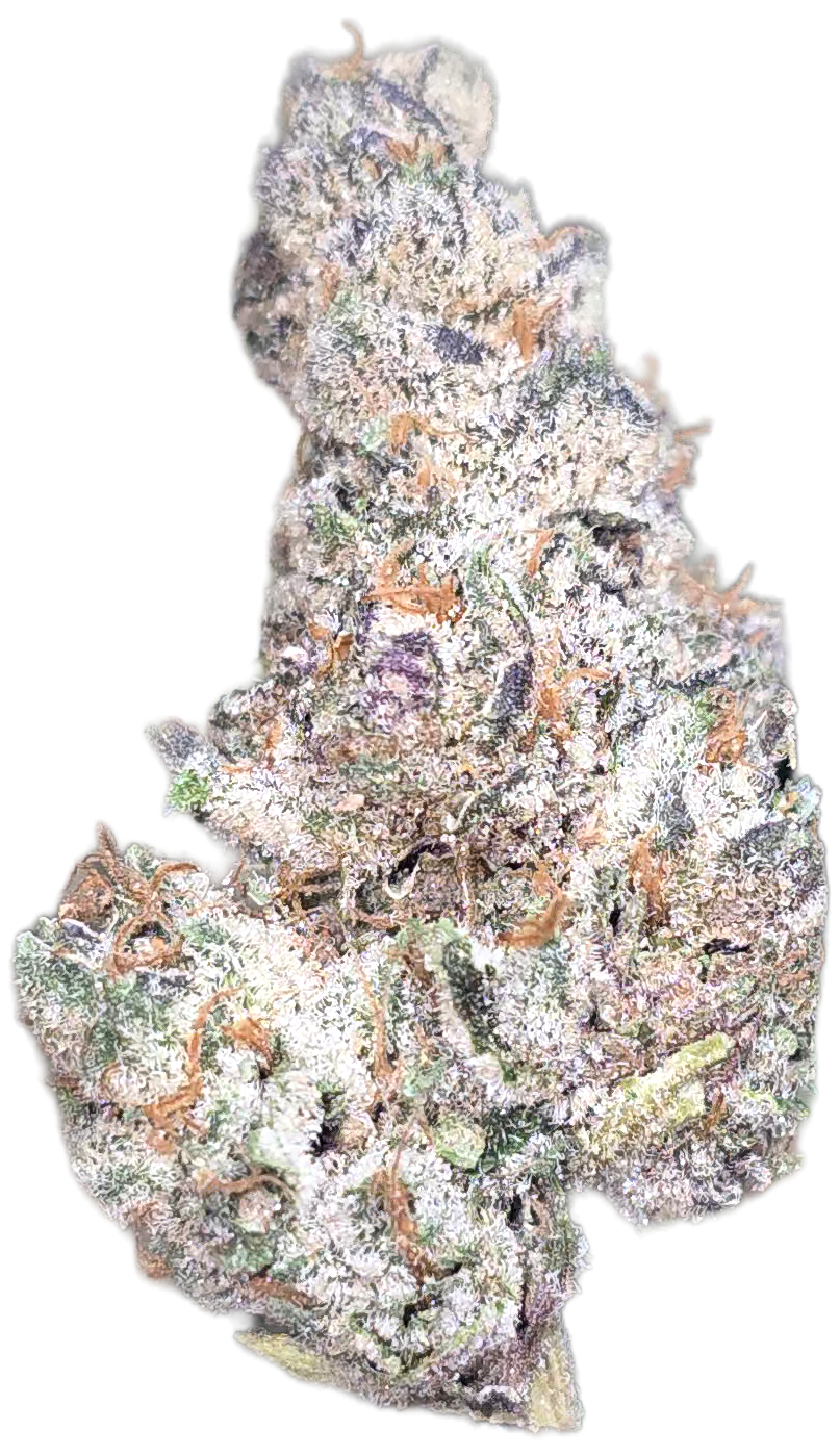 Biscotti Mintz 35% THCa