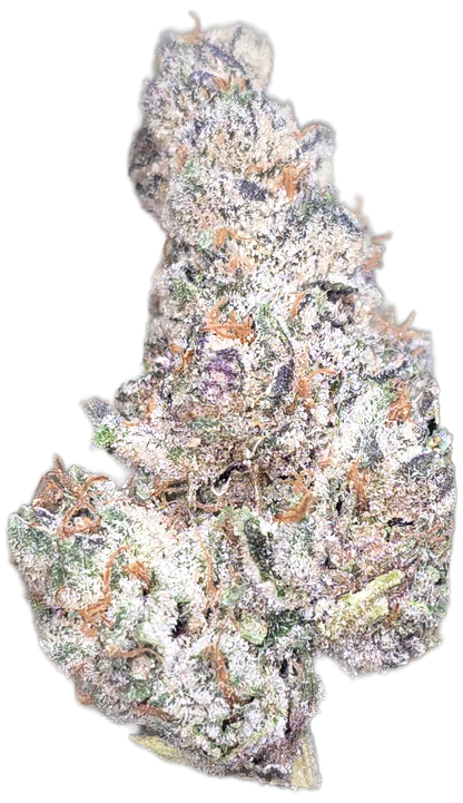 Biscotti Mintz 35% THCa