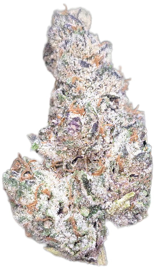 Biscotti Mintz 35% THCa